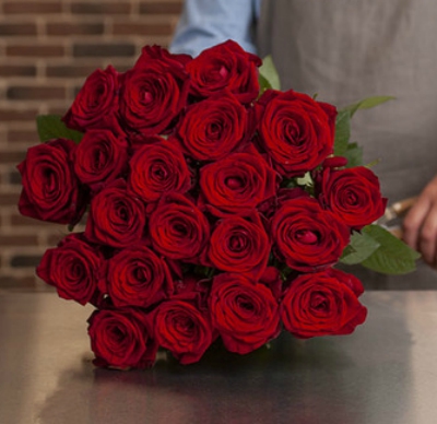 Premium red roses