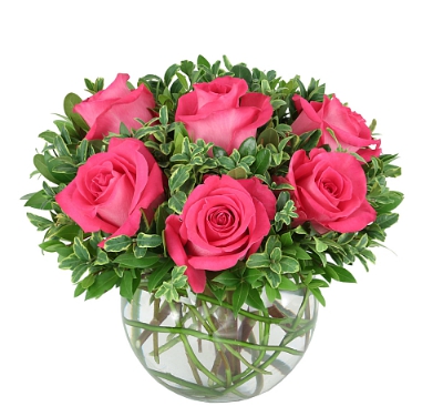 Trendafila roze