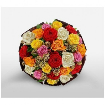 Multicolored roses