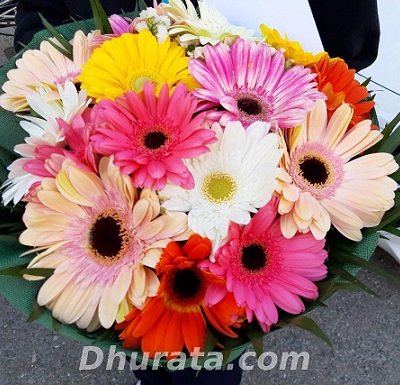 Buqete me 15 gerbera shumengjyreshe