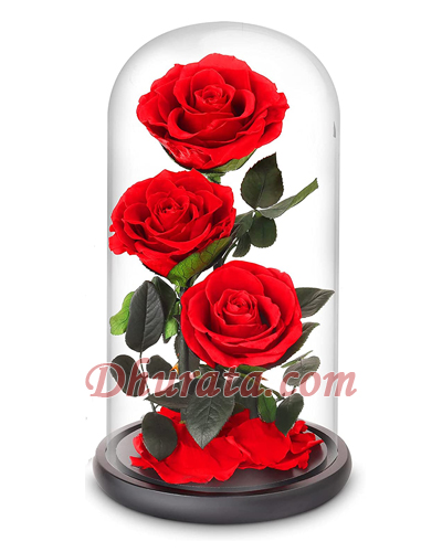 Beauty and the beast flower