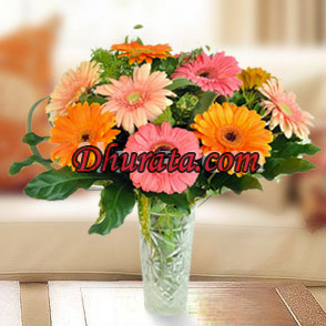 Buqete me gerbera