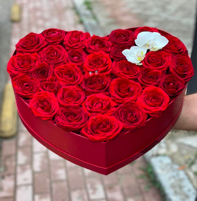25 red roses in a box