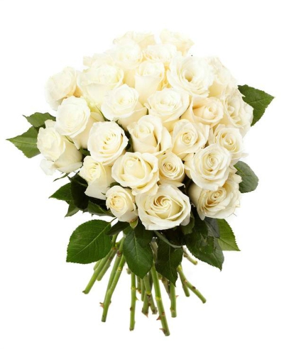 White roses