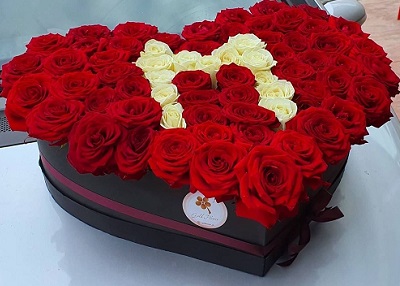 Red Composicion