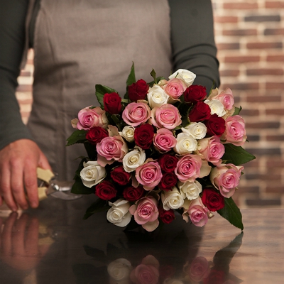 Marvellous roses