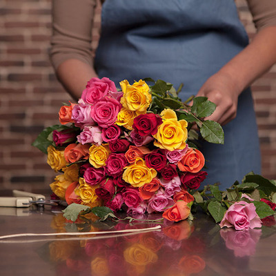 Multitude of roses