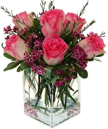 6 pink roses