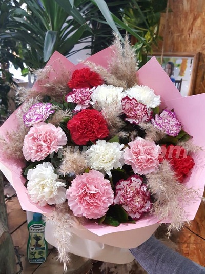 Bouquet of 15 colorful carnations