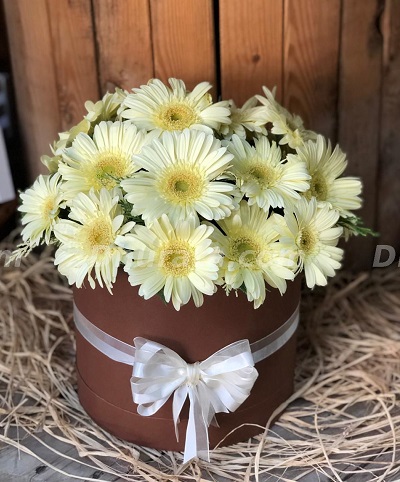 20 white gerbera in a box