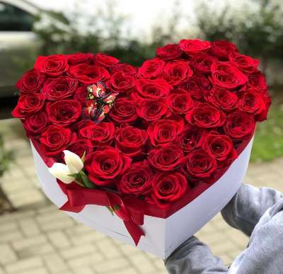 50 red roses in a box